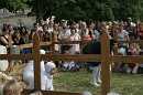 les moutons 008 * 3504 x 2336 * (2.86MB)